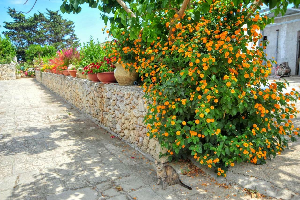 Residence Villa Grotta Monaca Otranto Luaran gambar